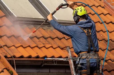 Démoussage et hydrofuge de toiture à Rives-d'Autise